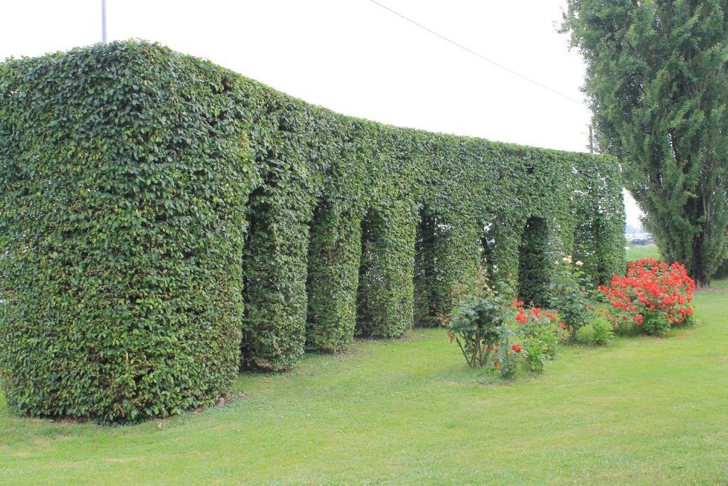 Villa Belvedere 1849 Misano di Gera dʼAdda Buitenkant foto